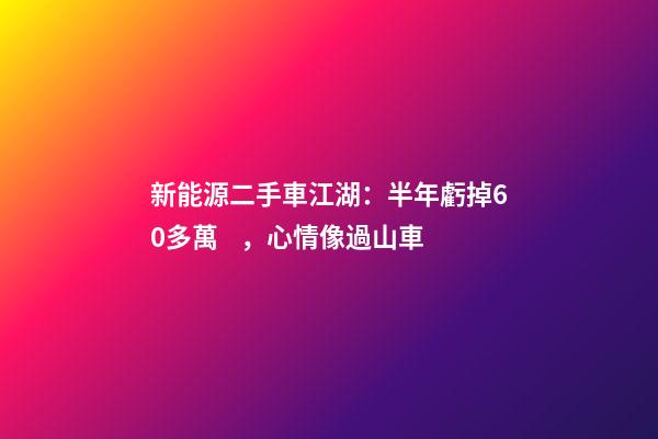 新能源二手車江湖：半年虧掉60多萬，心情像過山車